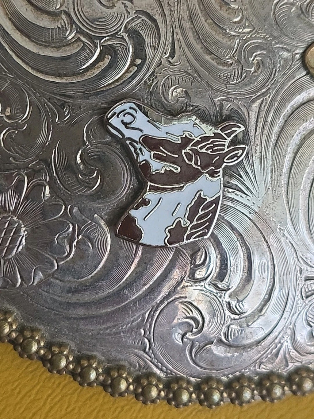 Furturity Champion Buckle Cowboy Rodeo FPSBA 1995 Champion Western Trophy