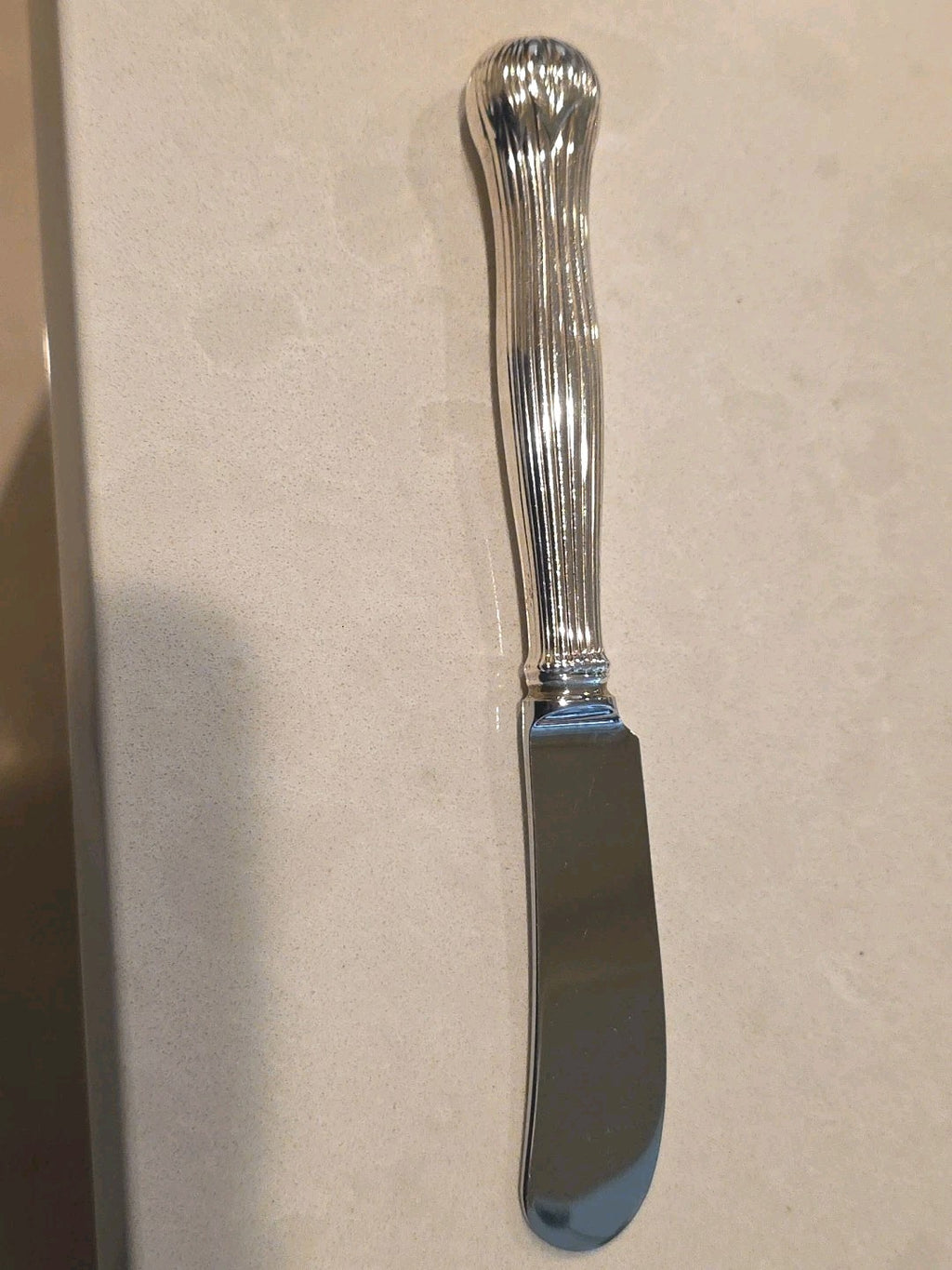 Botanical By Tiffany Sterling Silver Butter Spreader Hollow Handle 6"