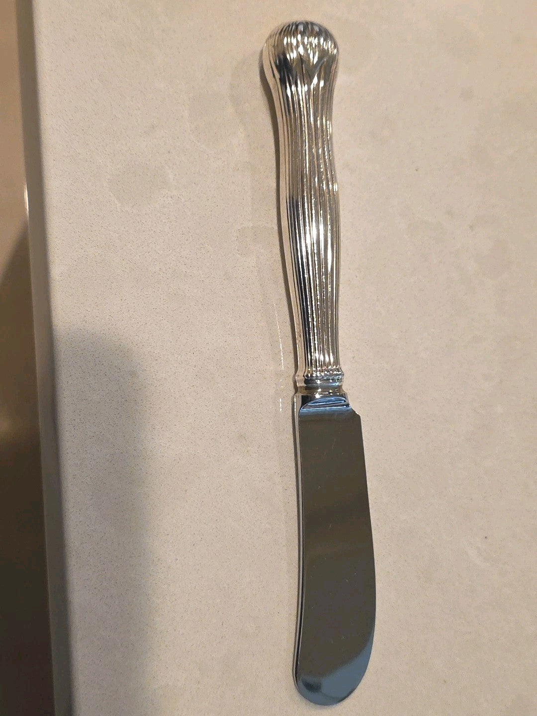 Botanical By Tiffany Sterling Silver Butter Spreader Hollow Handle 6"