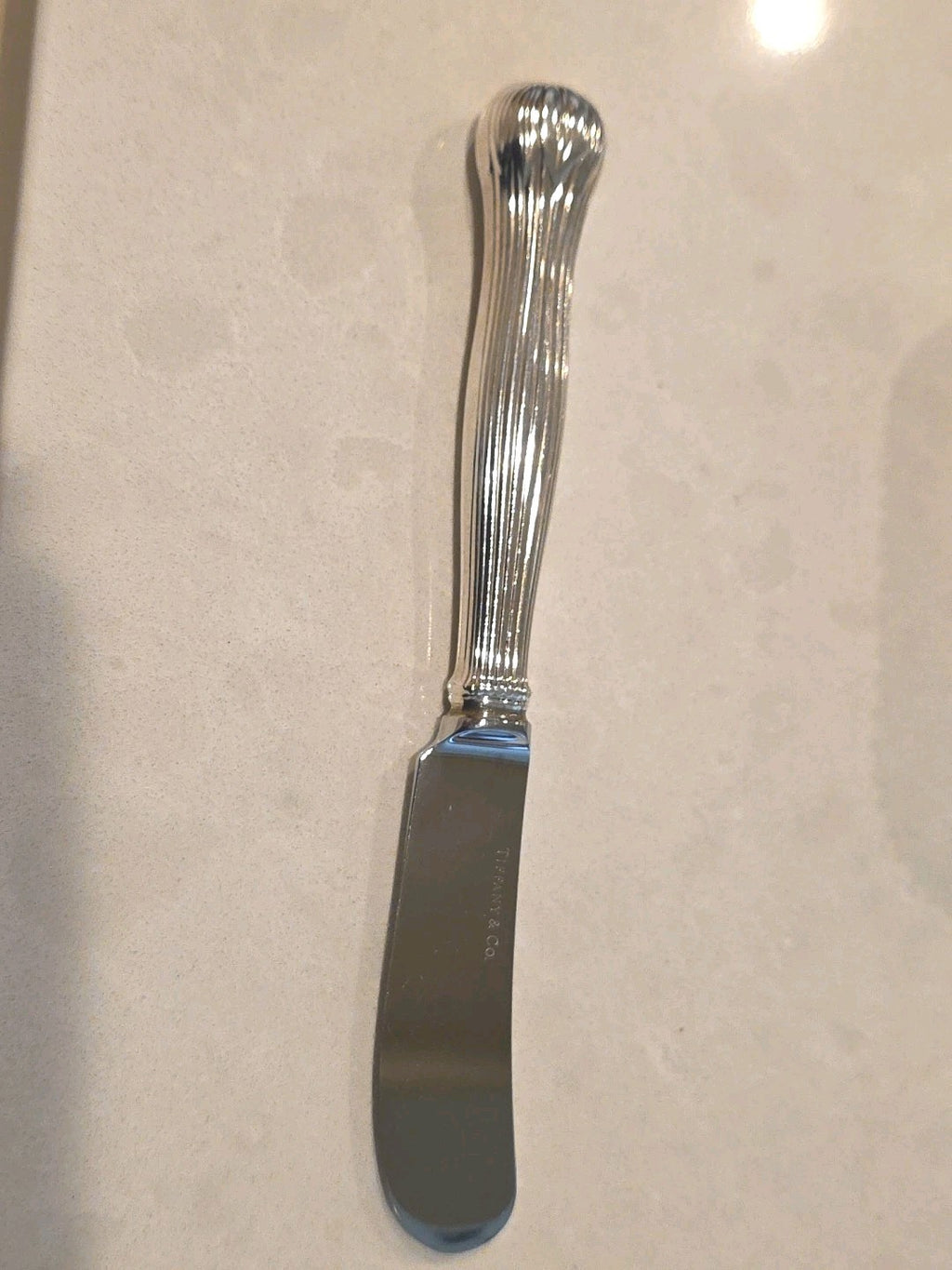 Botanical By Tiffany Sterling Silver Butter Spreader Hollow Handle 6"
