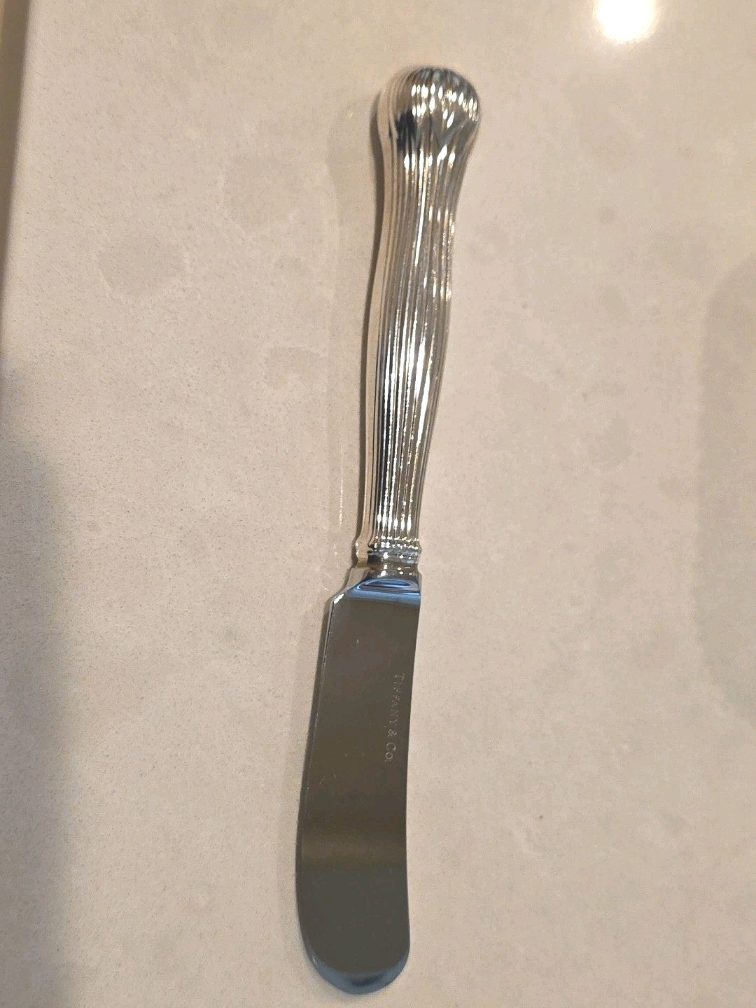 Botanical By Tiffany Sterling Silver Butter Spreader Hollow Handle 6"