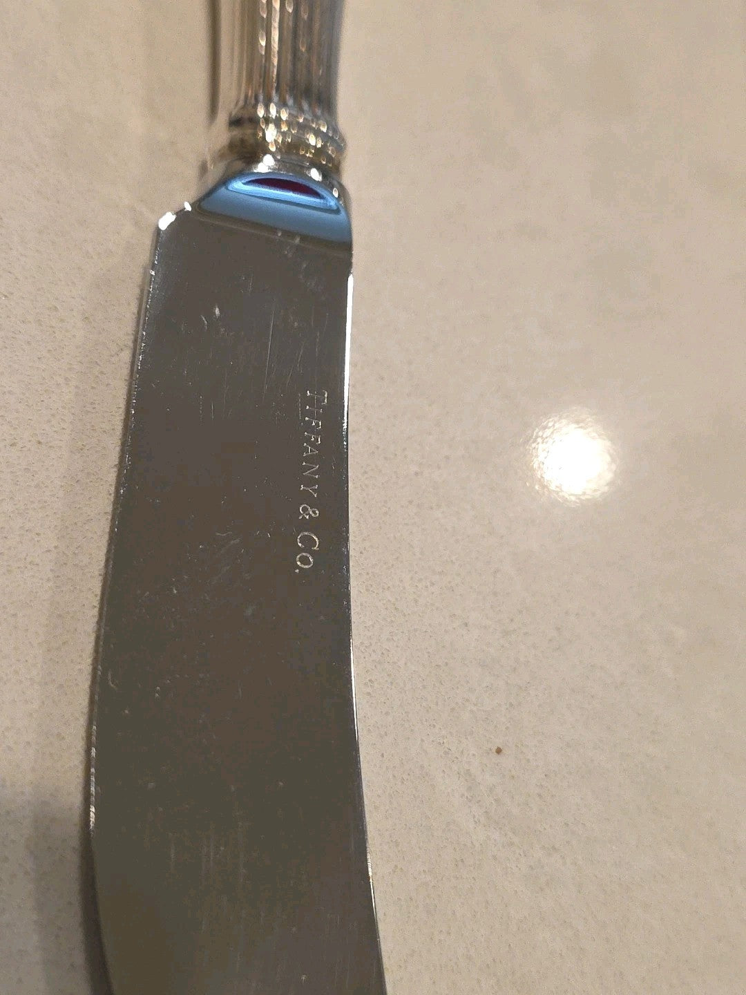 Botanical By Tiffany Sterling Silver Butter Spreader Hollow Handle 6"