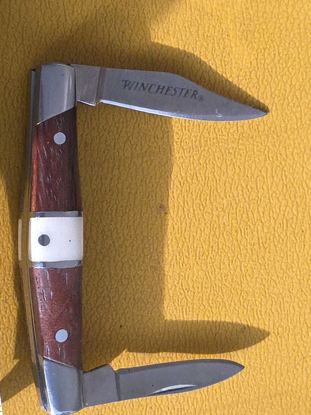 Winchester 2 blade Pocket Knife With Bone