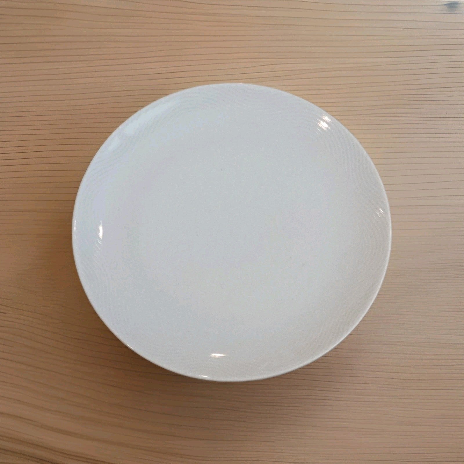 BAUSCHER WEIDEN PAN AM AIRLINES 8 1/2" 1st Class DINNER PLATE WAVE PATTERN
