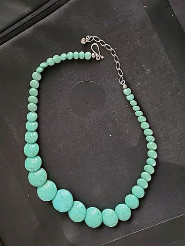 Jay King Graduated Round Turquoise Disc Beaded Necklace with Sterling Hardware