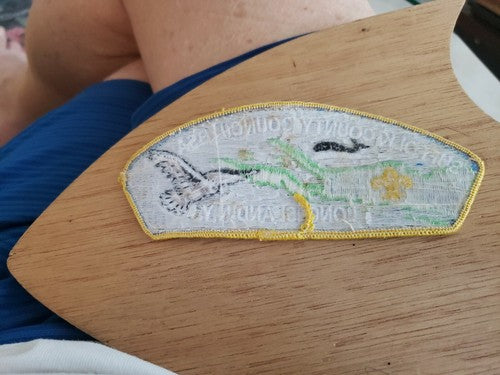Boy Scout Suffolk County Council Shoulder Patch BSA CSP Long Island NY