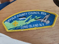 Boy Scout Suffolk County Council Shoulder Patch BSA CSP Long Island NY