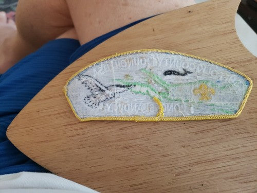 Boy Scout Suffolk County Council Shoulder Patch BSA CSP Long Island NY