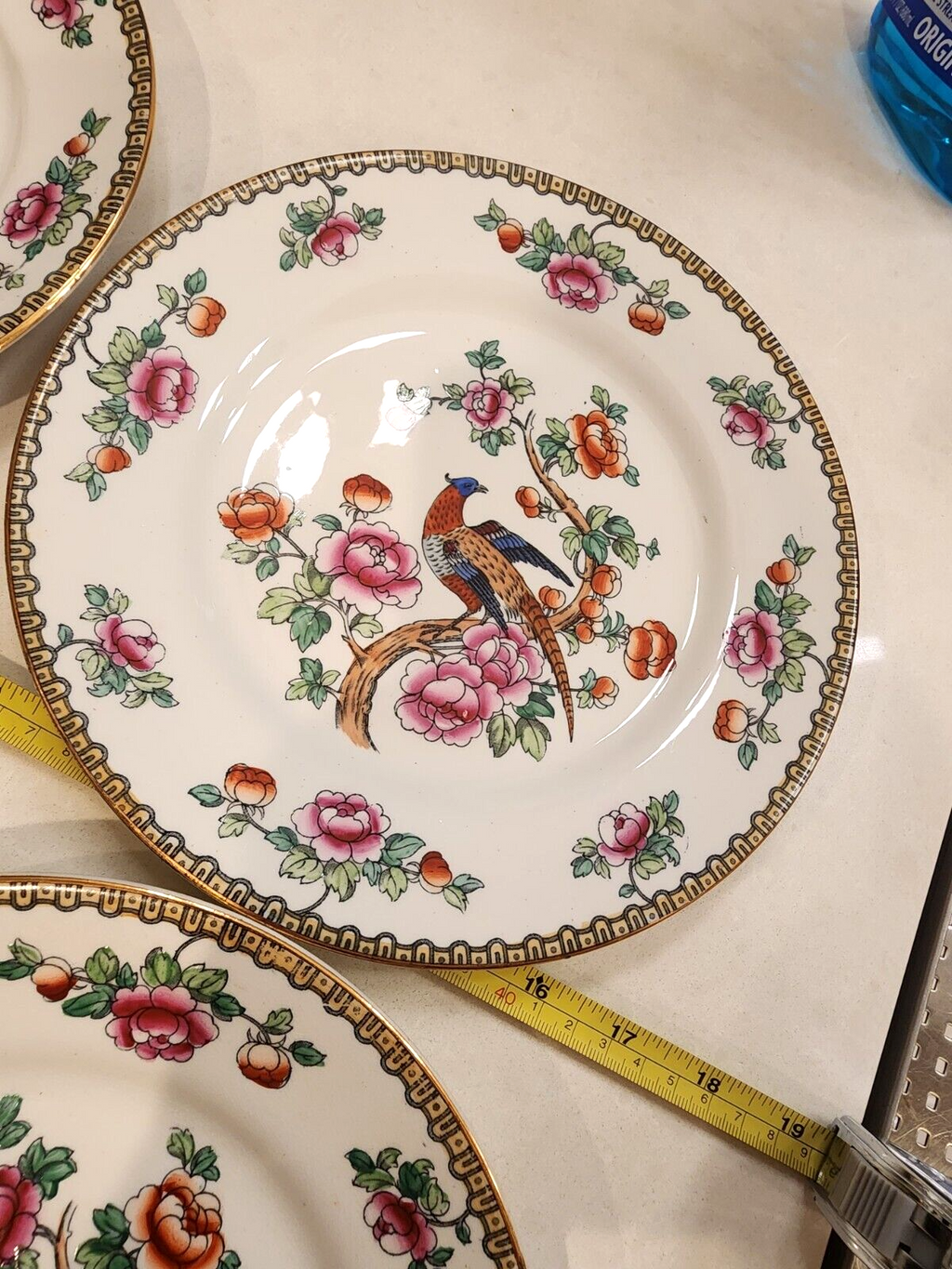 Set of 4 . Winkle & Co England Pheasant Bird Flowering Tree Branch 9" Plate