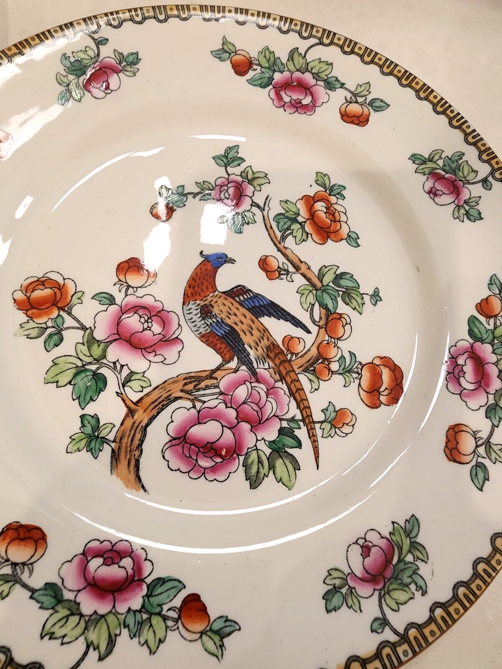Set of 4 . Winkle & Co England Pheasant Bird Flowering Tree Branch 9" Plate