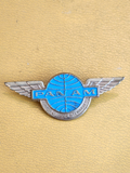 Vtg Pan Am Airlines Jr Clipper Stewardess Flight Attendant Metal Wings Pin Badge