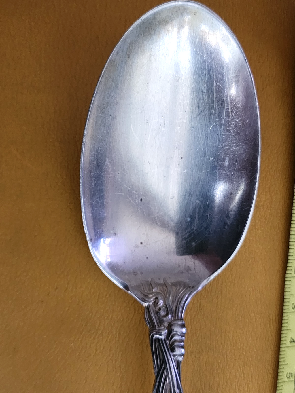 Frontenac by International Sterling Silver Serving Spoon 8 1/4"